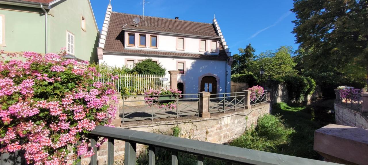 Le Cocon Du Rimbach Apartment Soultz-Haut-Rhin Exterior foto
