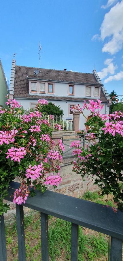 Le Cocon Du Rimbach Apartment Soultz-Haut-Rhin Exterior foto